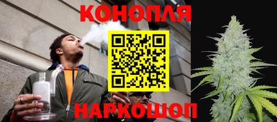 амф Севастополь