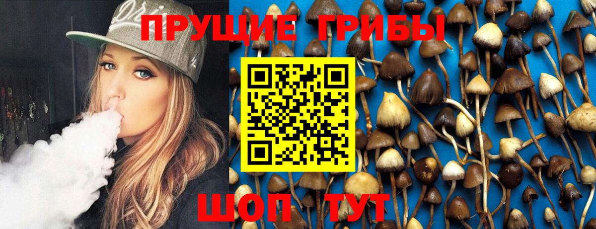 Псилоцибиновые грибы Cubensis Рубцовск