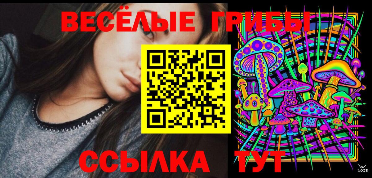 наркошоп  Вход с VPN  Рубцовск  Галлюциногенные грибы ЛСД 